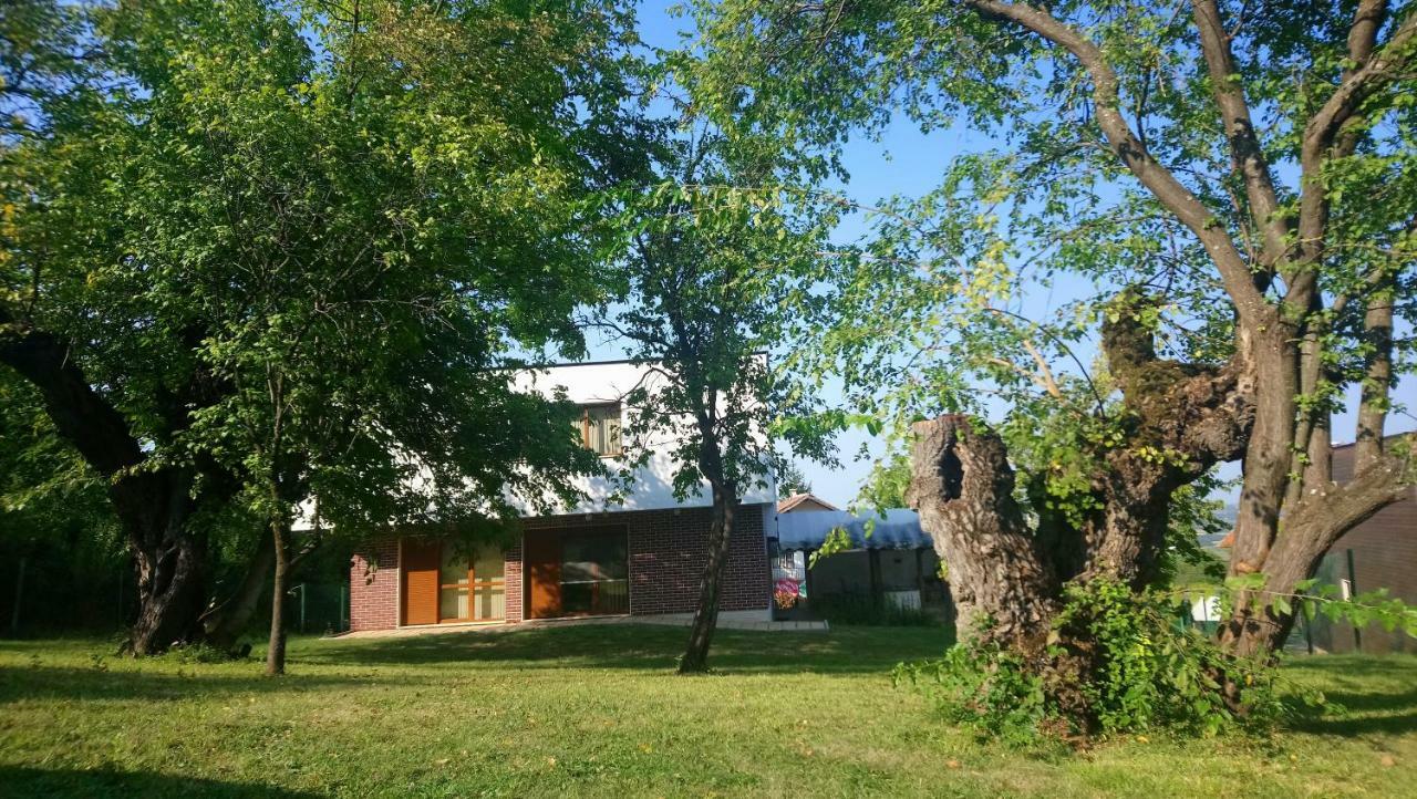 Villa Dream Dobrevtsi 外观 照片